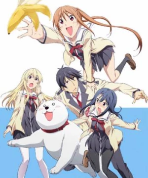 Cô Nàng Ngốc - Aho Girl