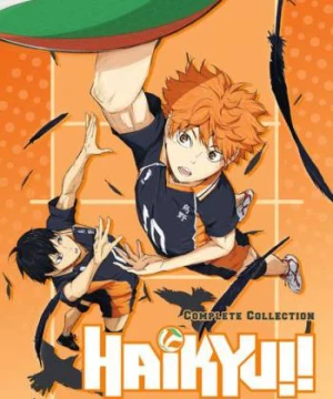 Haikyu - Chàng khổng lồ tí hon (Phần 1)