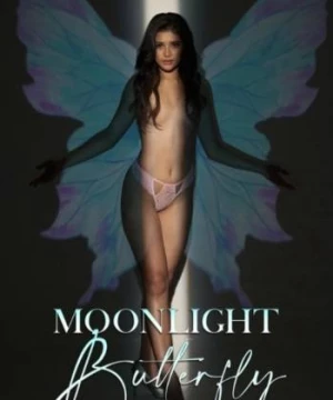 Moonlight Butterfly