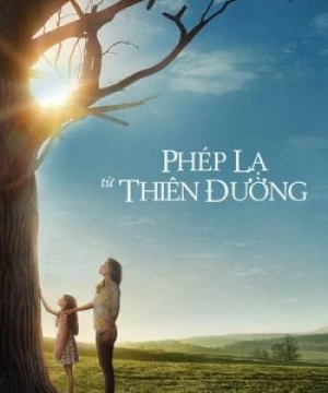 Phép Màu Từ Thiên Đàng