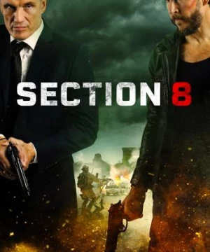 Section 8