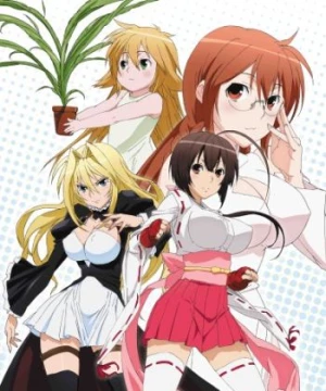 Sekirei: Hajimete no Otsukai