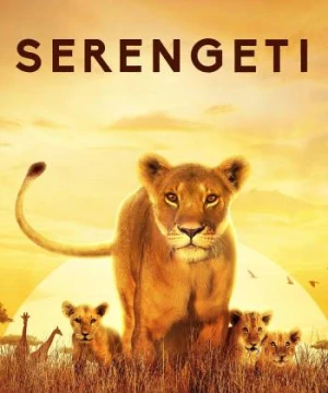 Serengeti