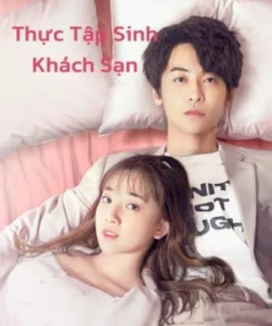 Thực Tập Sinh Khách Sạn