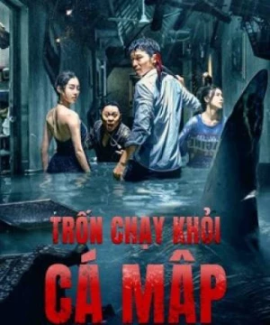 Trốn Chạy Khỏi Cá Mập