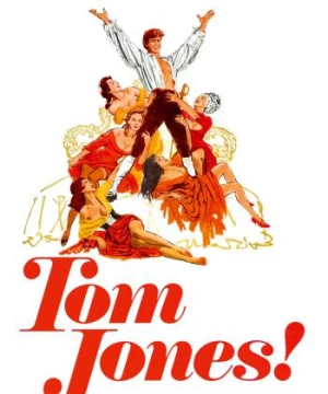 Truyện Về Chàng Tom Jones